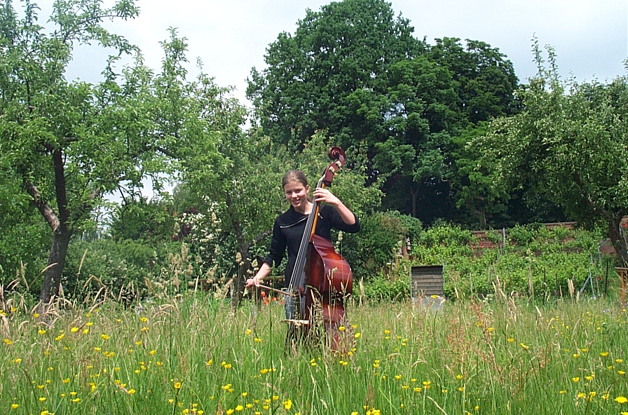 Musik im Garten Domgymnasium Verden